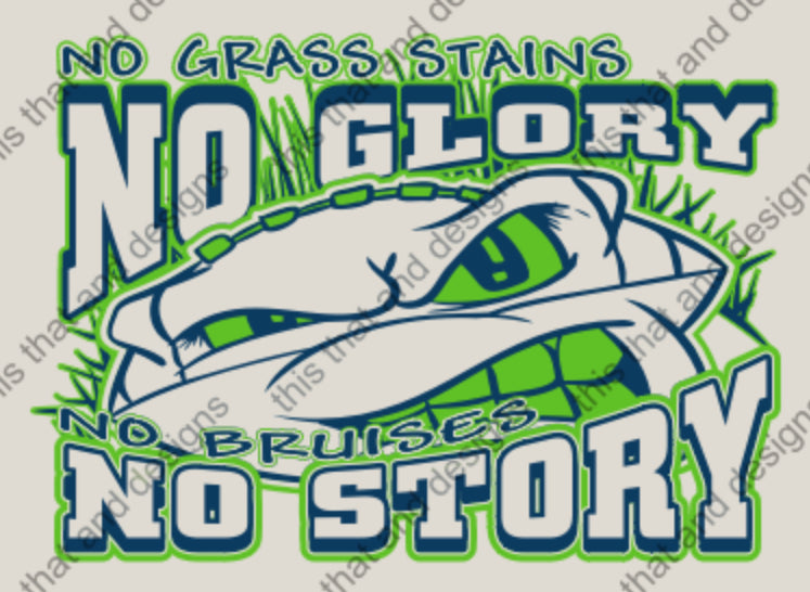 No Grass Stains No Glory No Bruises No Story