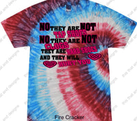 Load image into Gallery viewer, Irish dancing no they are not tap shoes
